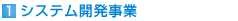 （1）システム開発事業